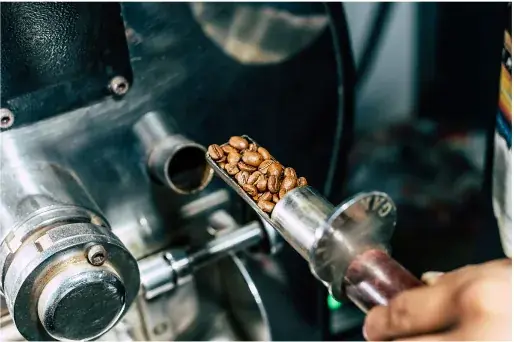 Arabica Solok Origin