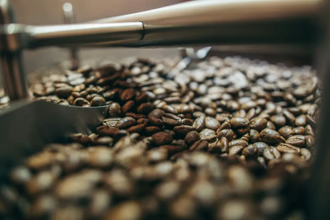 Berawal dari Gayo, Tumbuh Bersama Kopi Sumatera