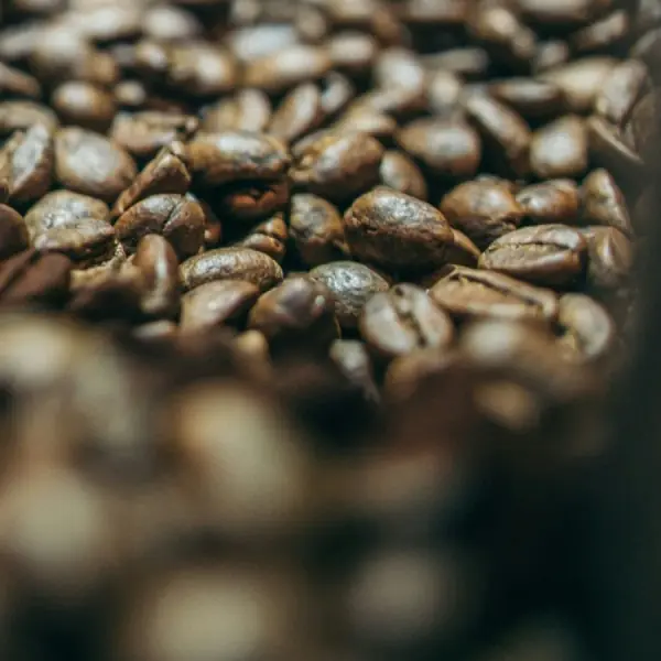 Robusta Sumatera Origin