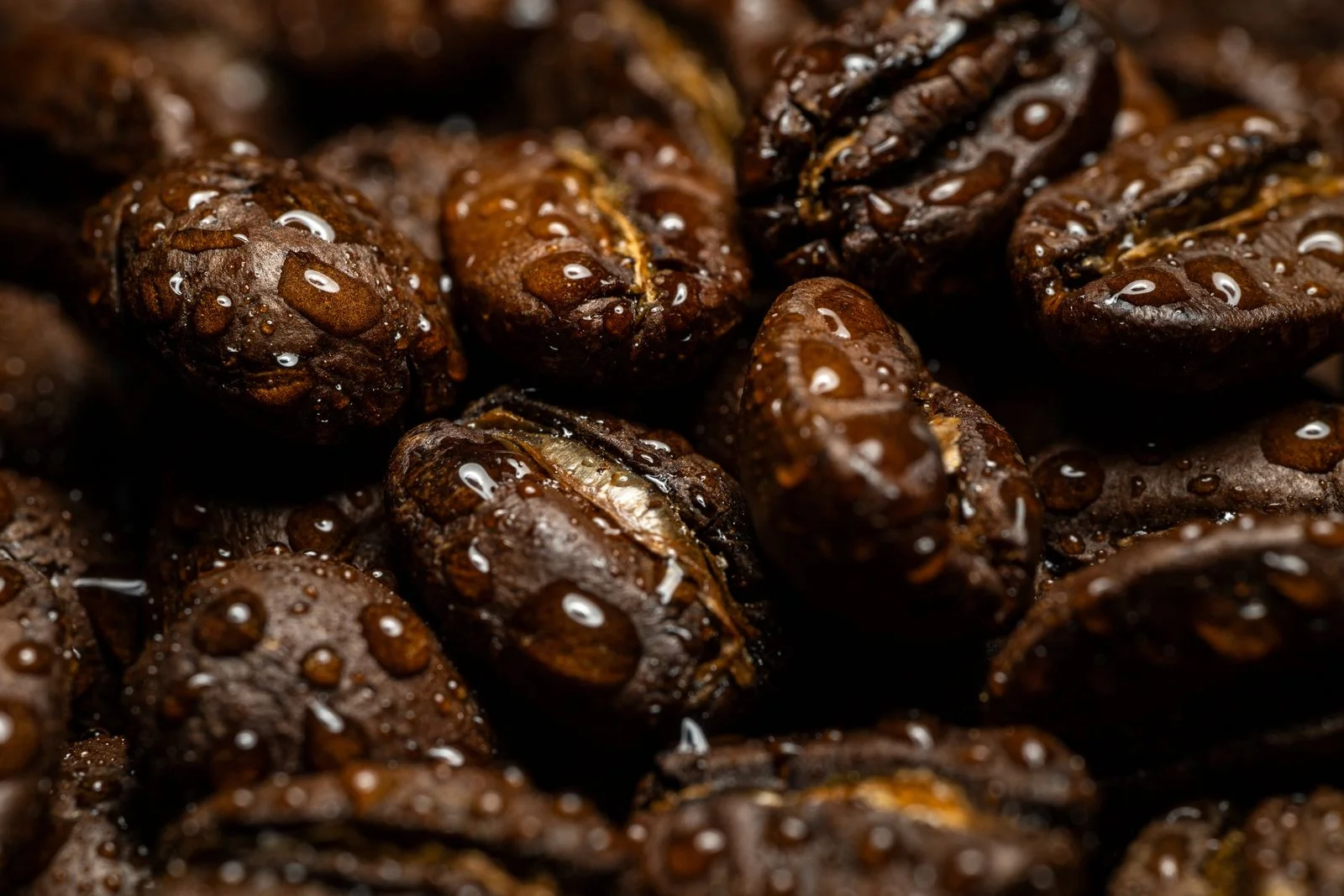 Biji Kopi Robusta untuk Kopi Susu dan Tubruk: Kenapa Cocok?
