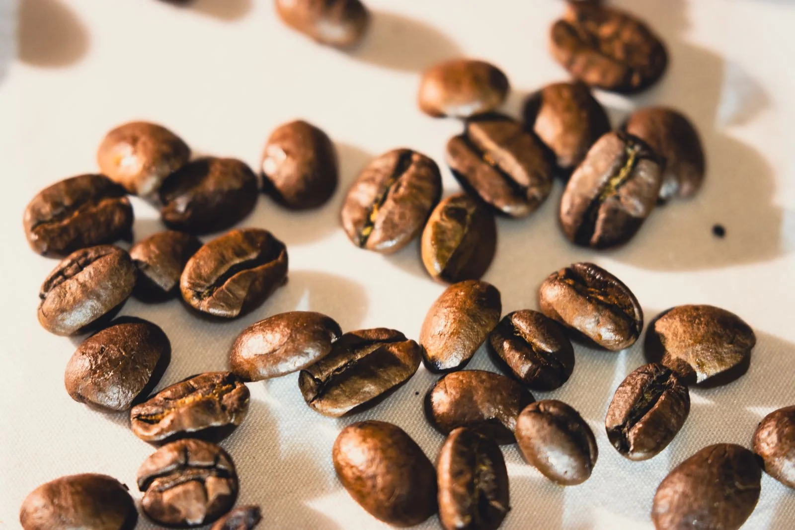 Biji Kopi Premium: Apa Bedanya dengan Kopi Biasa?