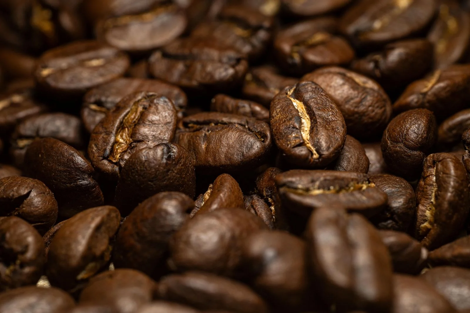Kopi Gayo: Ciri Khas Rasa Arabika Aceh dan Cara Menikmatinya