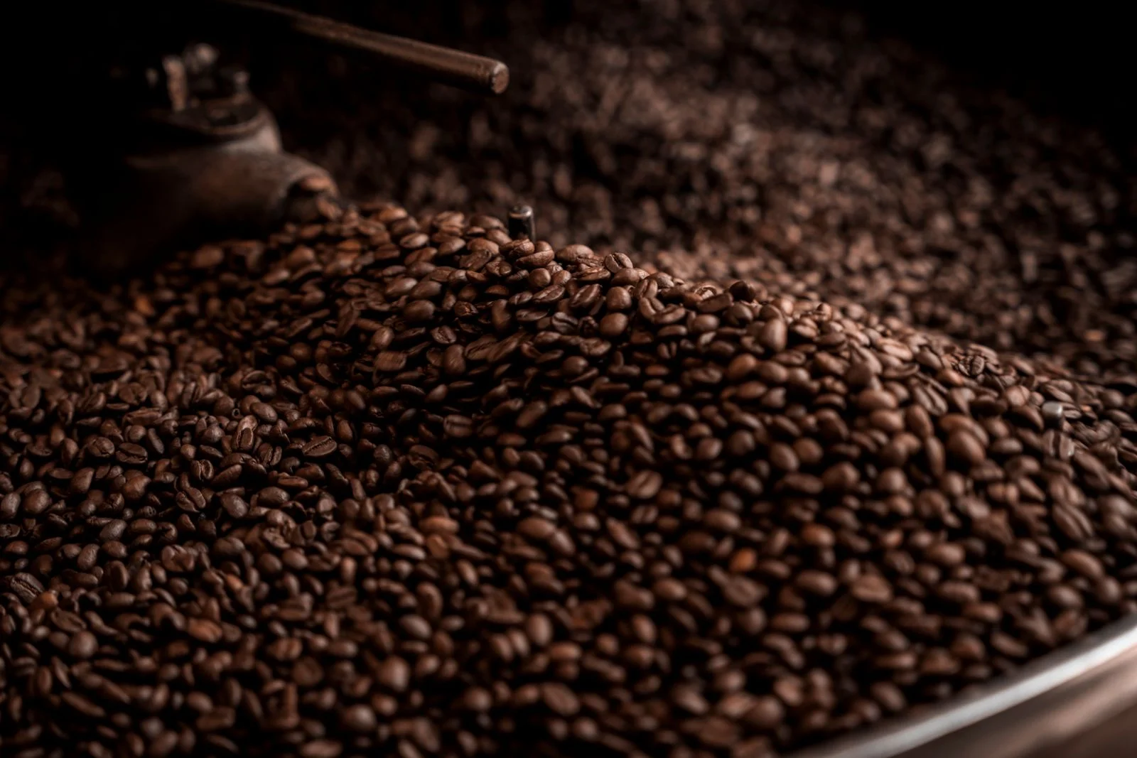 Kopi Specialty: Pengertian, Skor Cupping, dan Ciri-cirinya