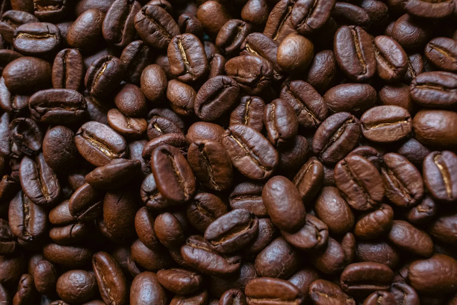 Jual Biji Kopi Arabika Gayo: Full Wash, Semi Wash, Natural