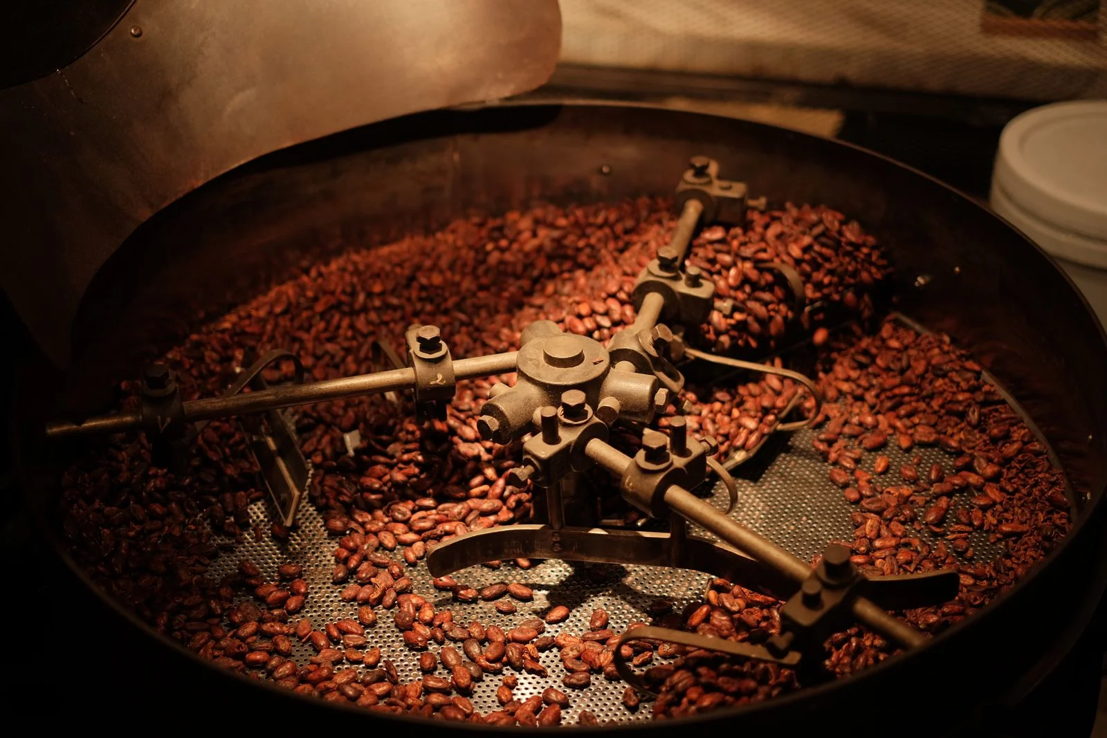 Jual Biji Kopi Grosir untuk Kafe dan Usaha: Cara Memilih