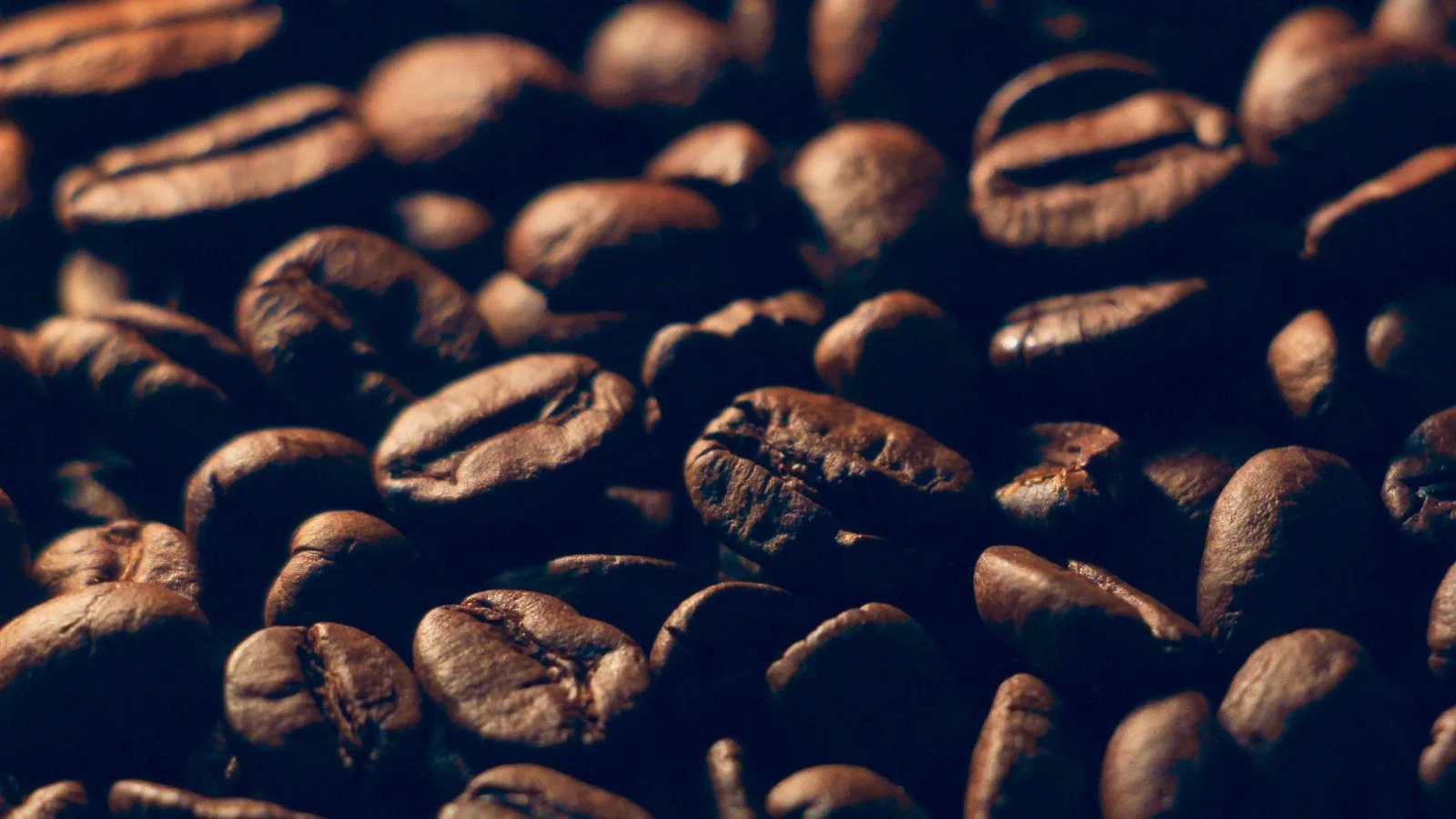 Beli Biji Kopi Online: Biji Utuh atau Bubuk, Pilih Mana?